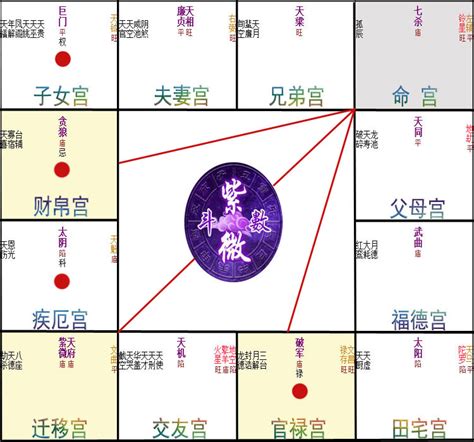 陽男陰女|紫微斗數的基礎教程